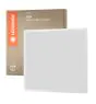 Ledvance LED Panel Eco 36W 3600lm - 840 Kald Hvit | 60x60cm - UGR <22